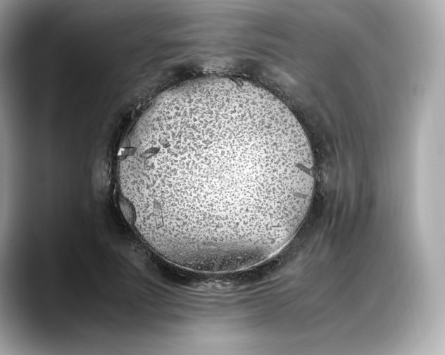 X0000088360691200706051023