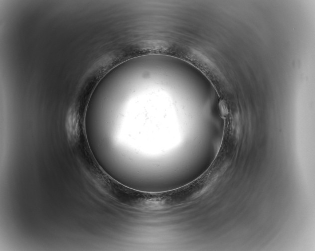 X0000088360692200706051023