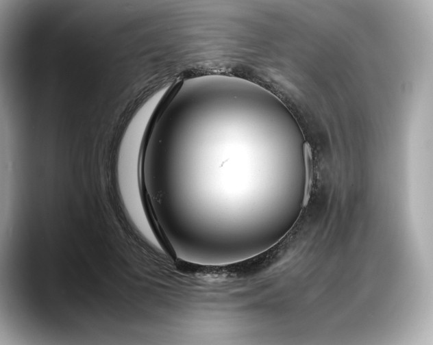 X0000088360693200706051023