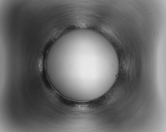 X0000088360694200706051023