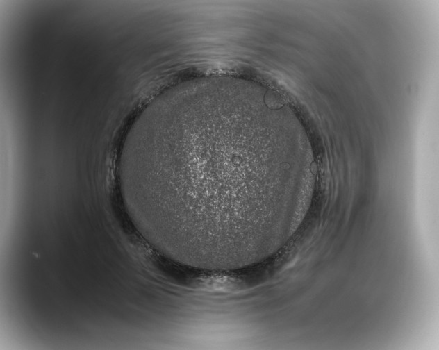 X0000088360695200706051023