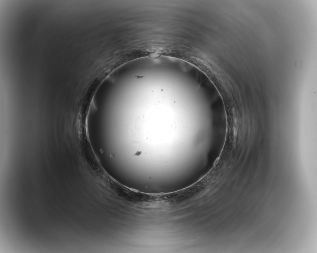 X0000088360696200706051023