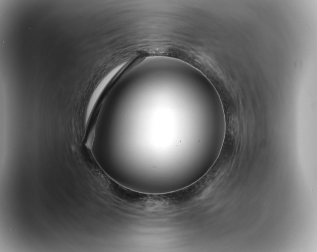 X0000088360697200706051023