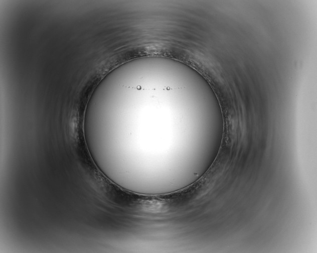 X0000088360698200706051023