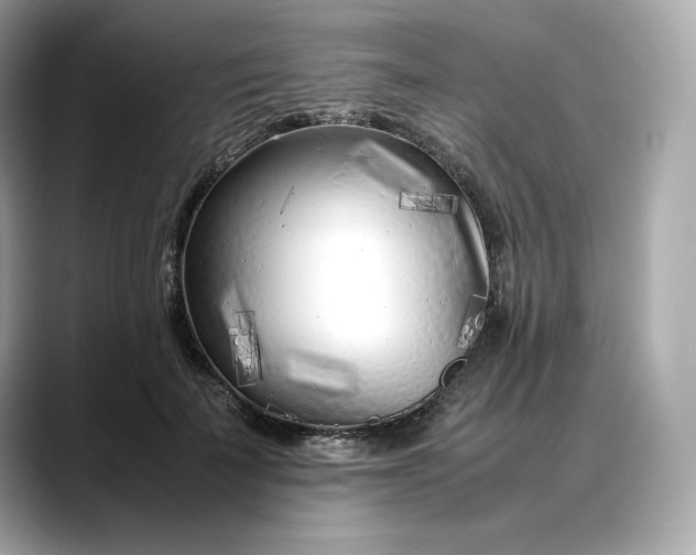 X0000088360699200706051023