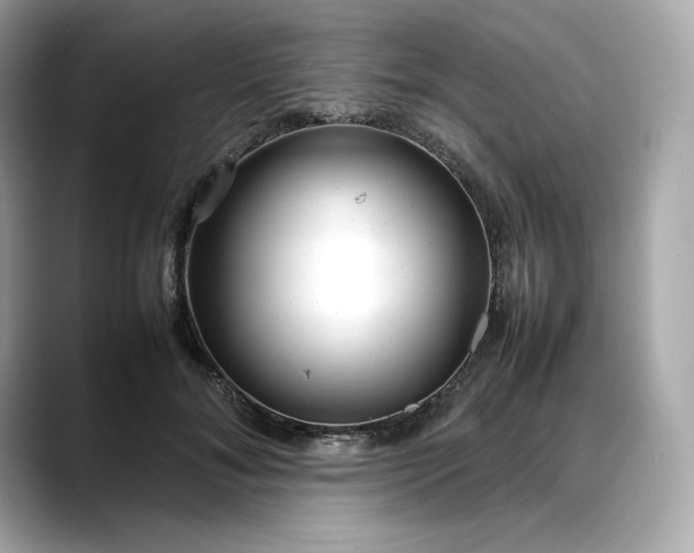 X0000088360700200706051023