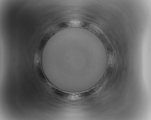 X0000088360701200706051023