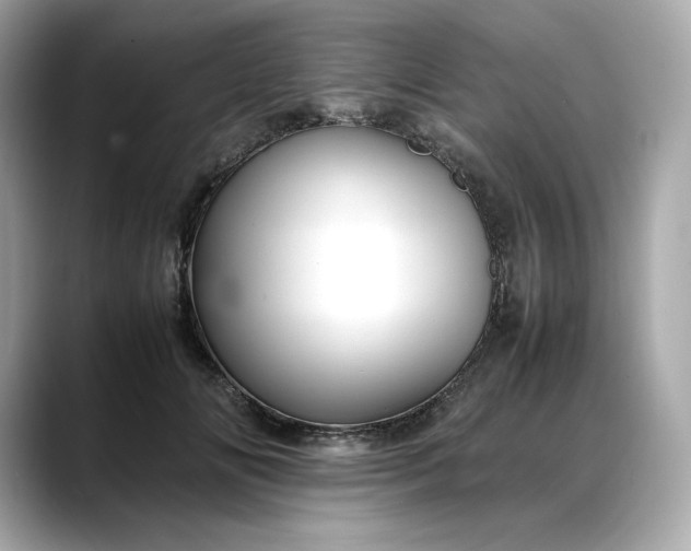 X0000088360702200706051023