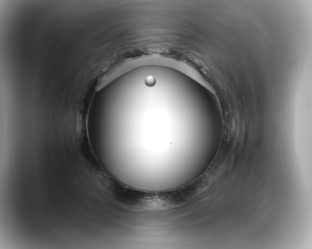 X0000088360704200706051023