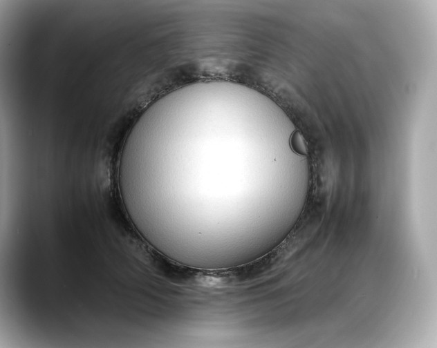 X0000088360706200706051023