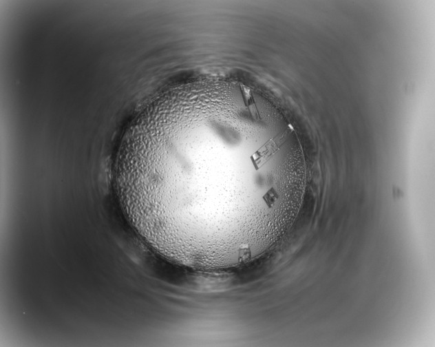 X0000088360707200706051023