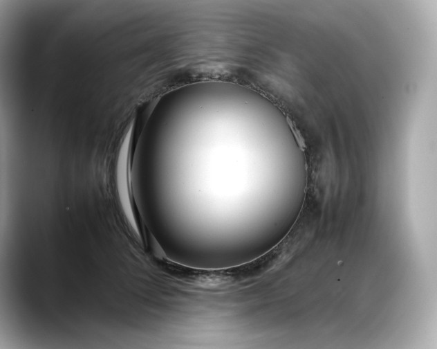 X0000088360708200706051023