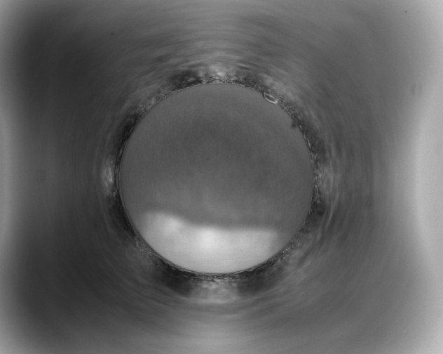 X0000088360709200706051023