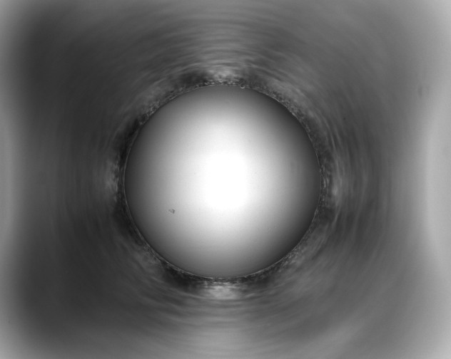 X0000088360710200706051023