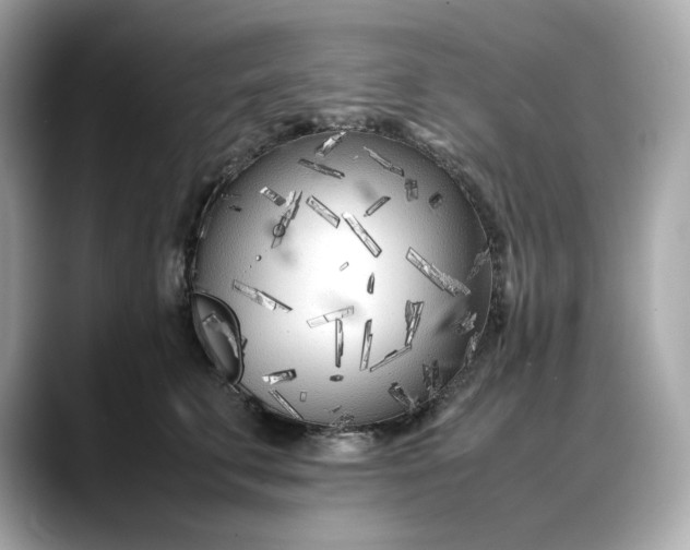 X0000088360711200706051023