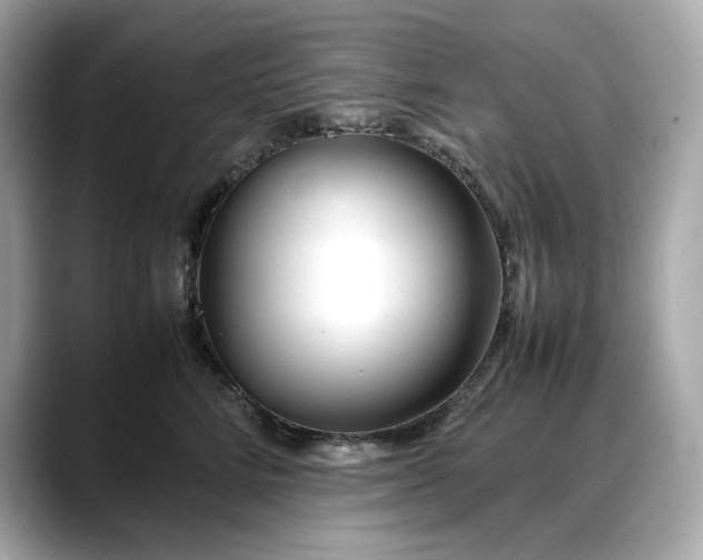 X0000088360712200706051023