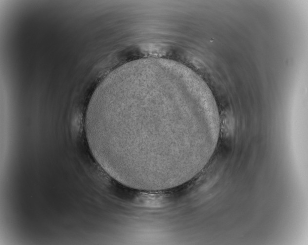 X0000088360713200706051023