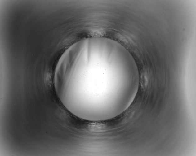 X0000088360714200706051023