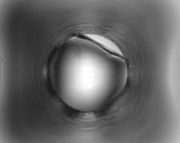 X0000088360715200706051023