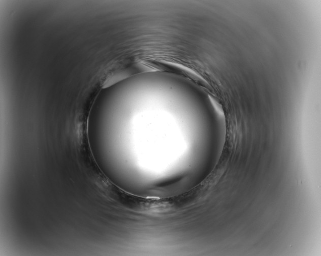 X0000088360716200706051023