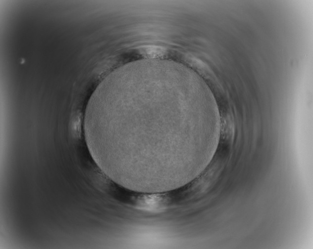 X0000088360717200706051023