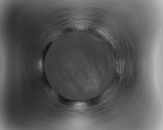 X0000088360718200706051023