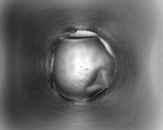 X0000088360720200706051023