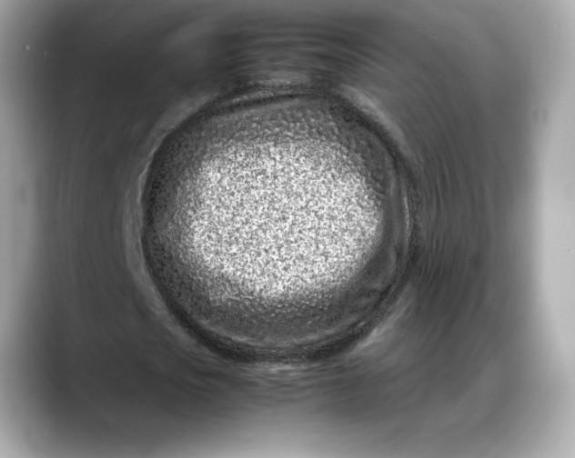 X0000088360721200706051023