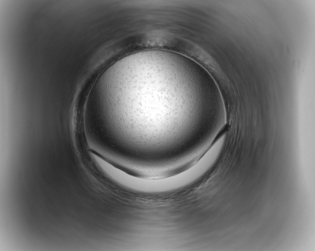 X0000088360722200706051023