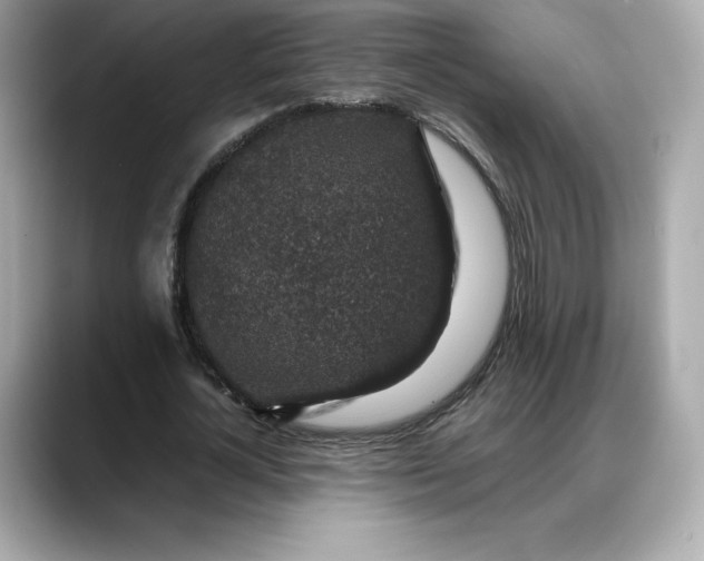 X0000088360724200706051023