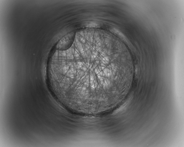 X0000088360725200706051023