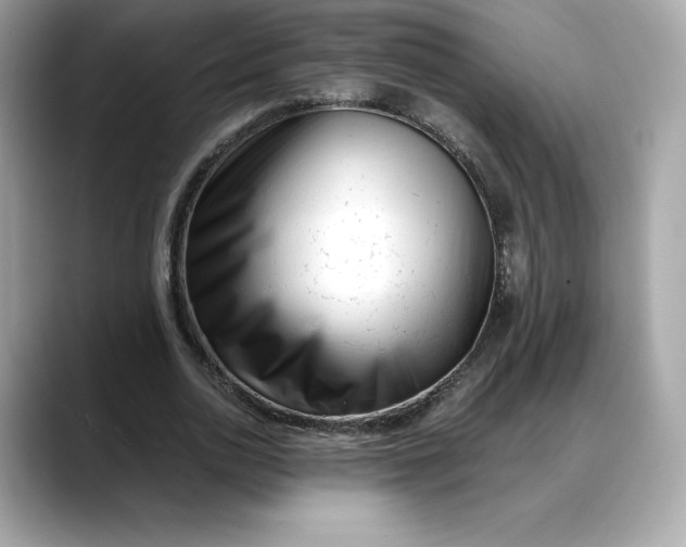 X0000088360726200706051023