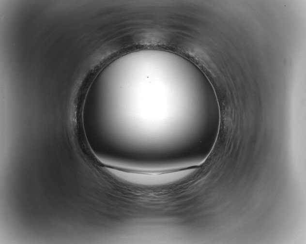 X0000088360727200706051023