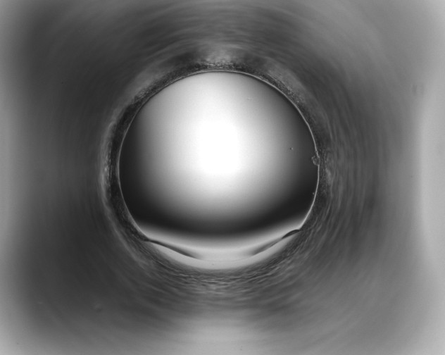 X0000088360728200706051023