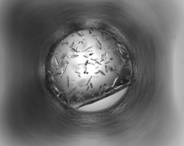 X0000088360729200706051023