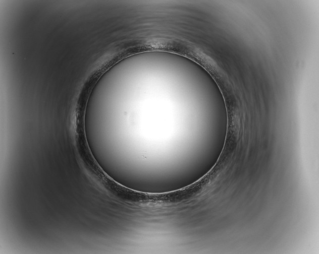 X0000088360730200706051023