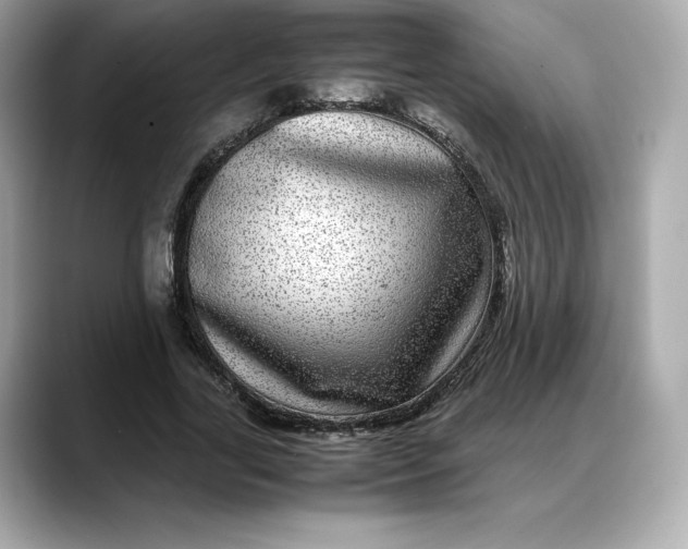 X0000088360731200706051023