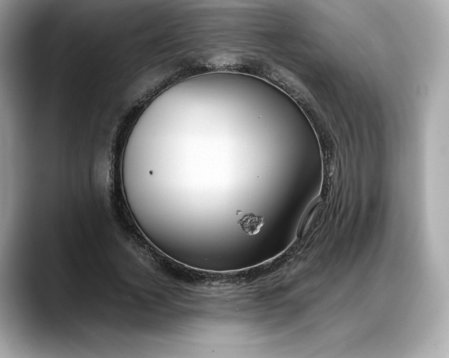 X0000088360732200706051023