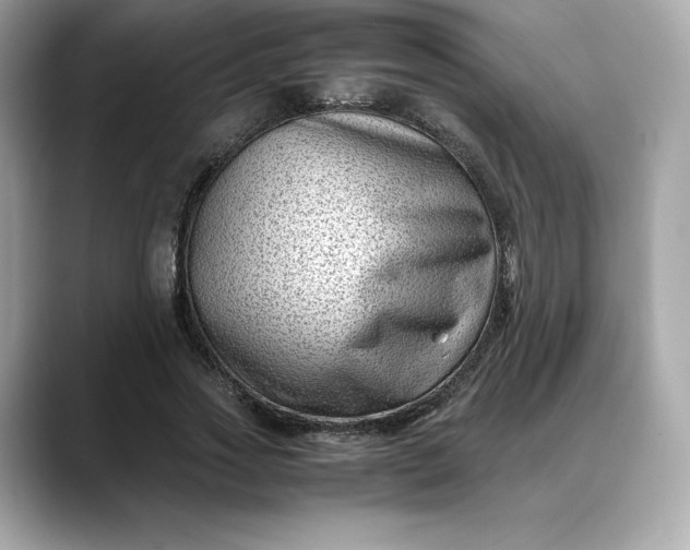 X0000088360733200706051023