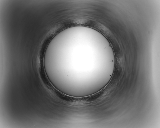 X0000088360734200706051023