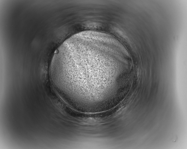 X0000088360737200706051023