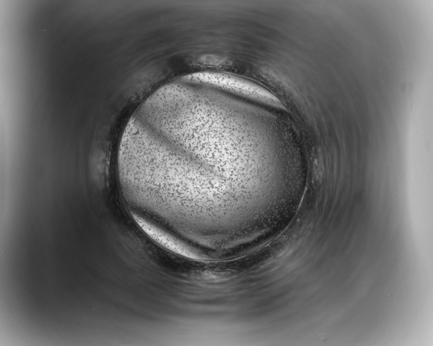 X0000088360739200706051023