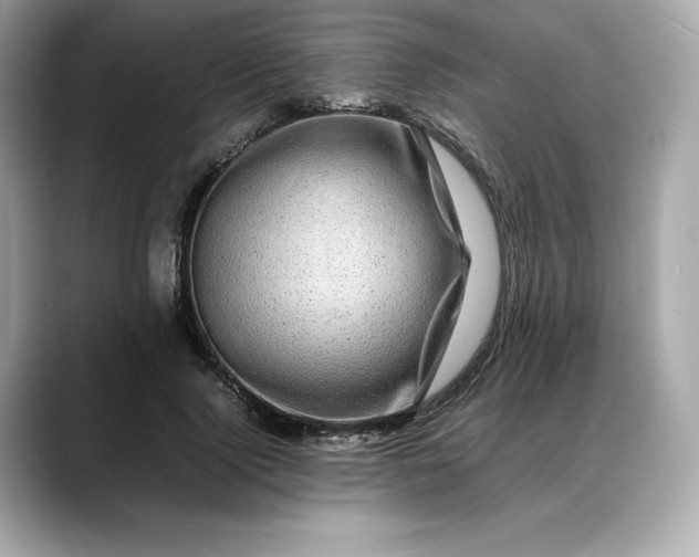 X0000088360740200706051023