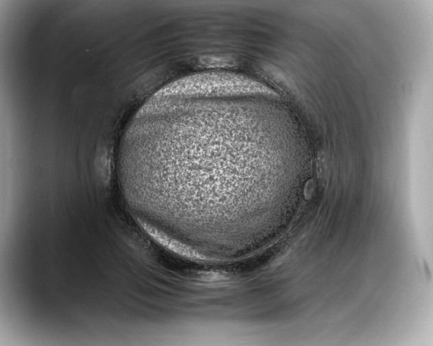 X0000088360741200706051023