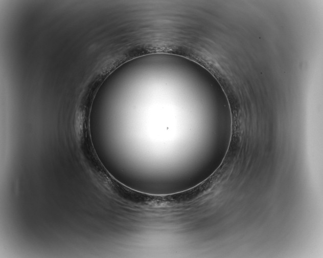 X0000088360742200706051023