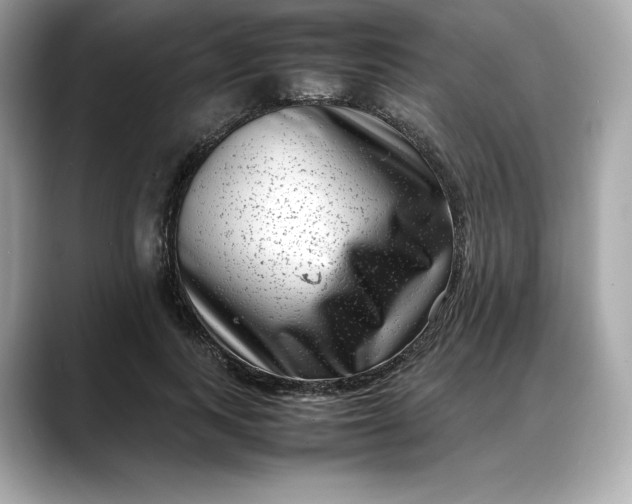 X0000088360743200706051023