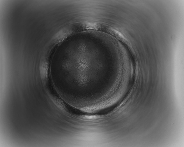 X0000088360744200706051023