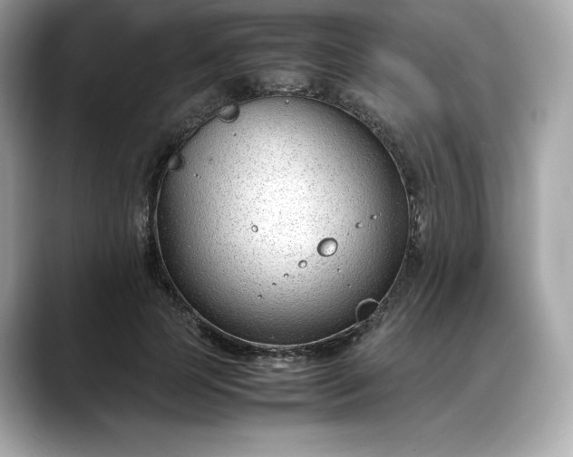 X0000088360745200706051023