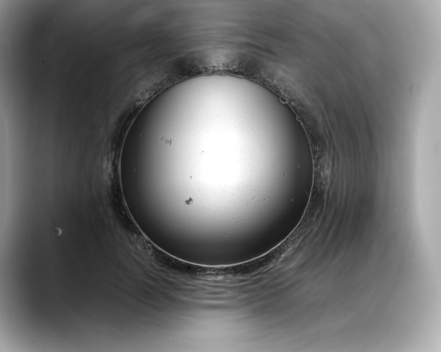 X0000088360746200706051023