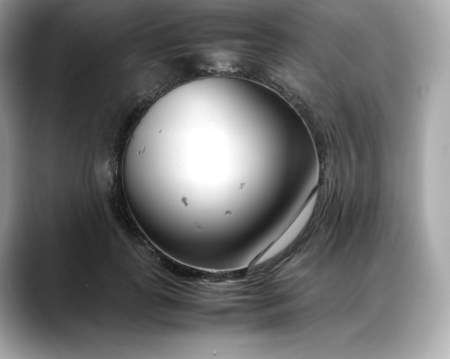 X0000088360747200706051023